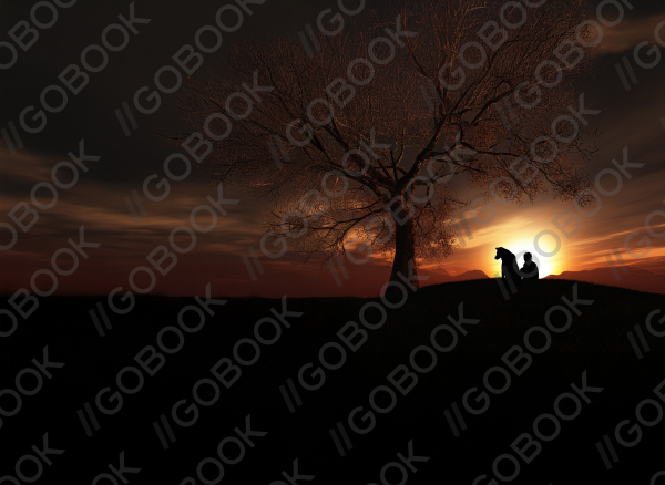 Full Cover Thumbnail