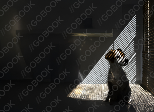 Full Cover Thumbnail