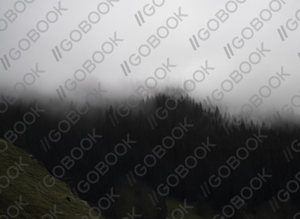 Full Cover Thumbnail