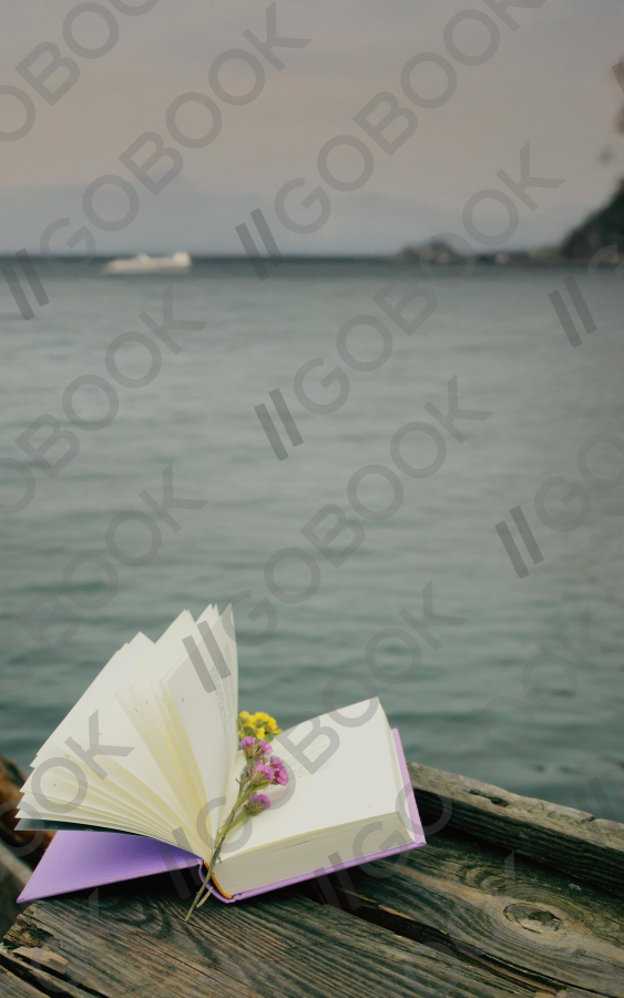 Seaside Bookshelf