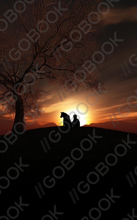 Friendship at Sunset