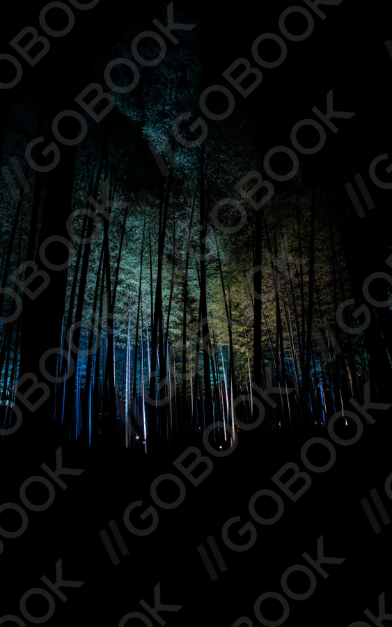 Radiance of the Magical Bamboo