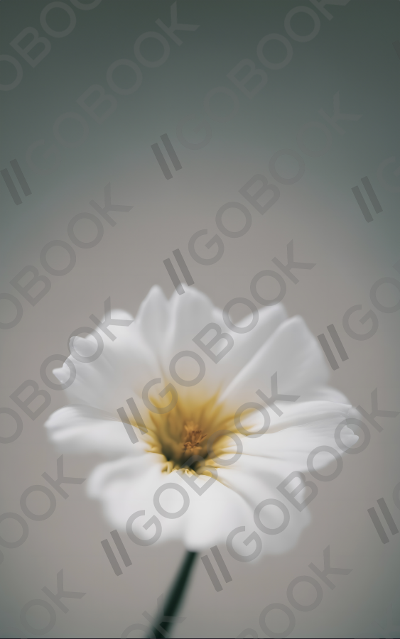 Soft White Blossom