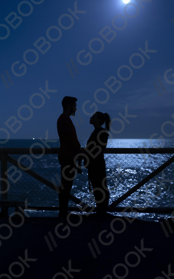 Moonlit Love