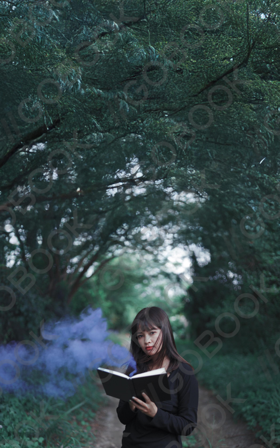 Magic in the Enchanted Forest