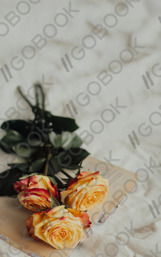 Faded Roses on a Book