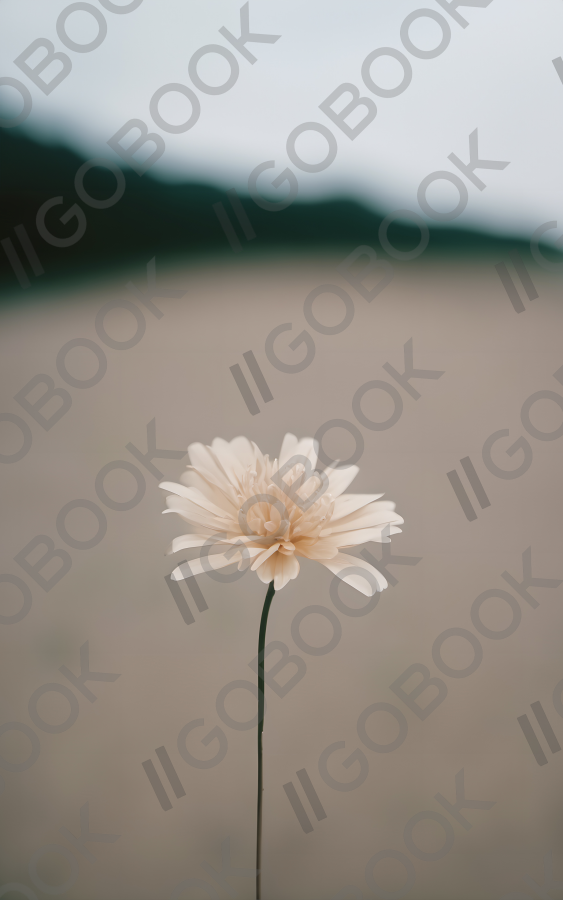 Soft Cream-Colored Flower