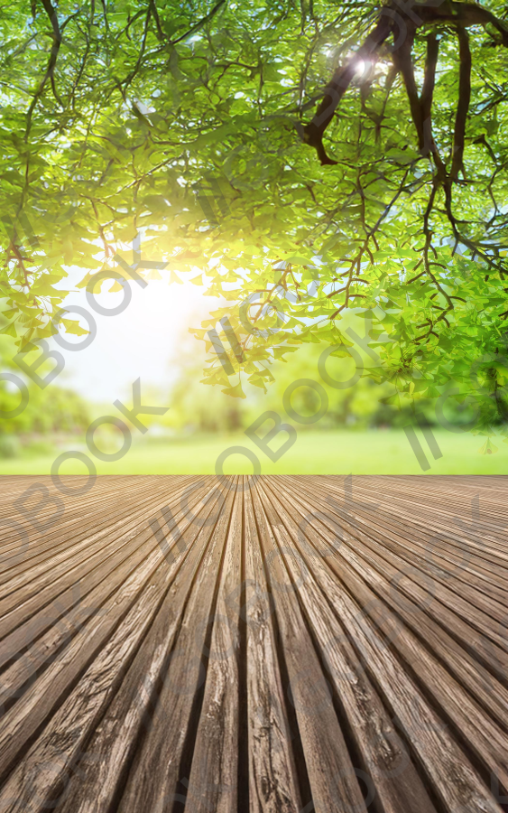 Sunlit Wooden Deck
