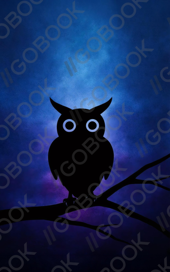 Watcher of the Silent Night