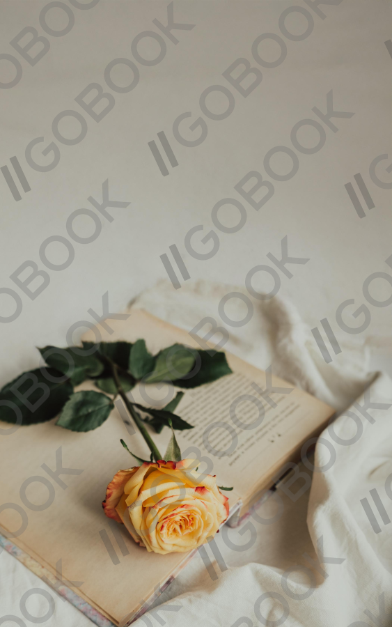Quiet Rose and Book